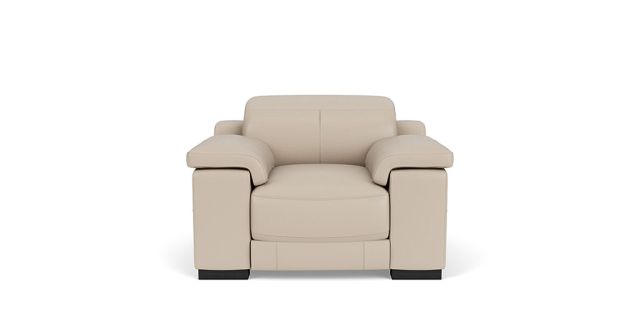 Austin electric recliner & electric headrest