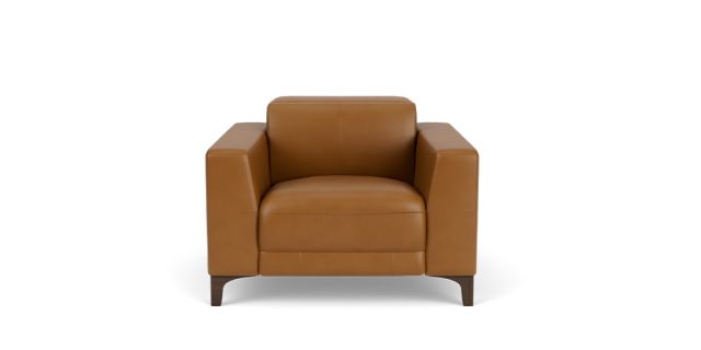 Cameo electric recliner with electric headrest